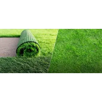Natural Grass